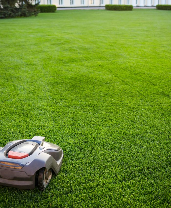 automatic-lawnmower-robot-mower-on-grass-lawn-view-of-the-large-mowed-lawn-copy-space-.jpg